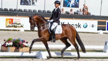 Incognito Pavo Cup 2017