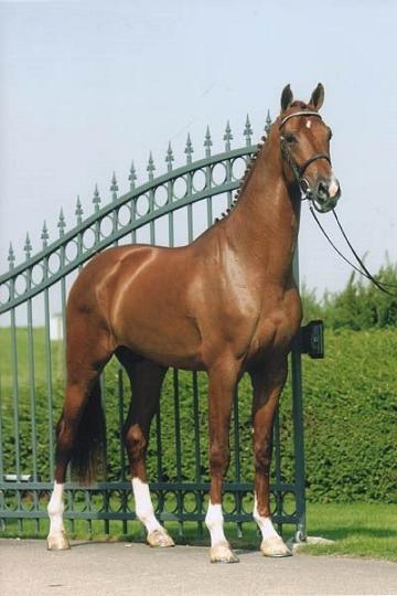 Vivaldi Vivaldi als 3-jarige